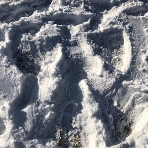 Meet your Posher, Domenica